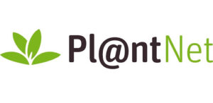 Logo plantnet